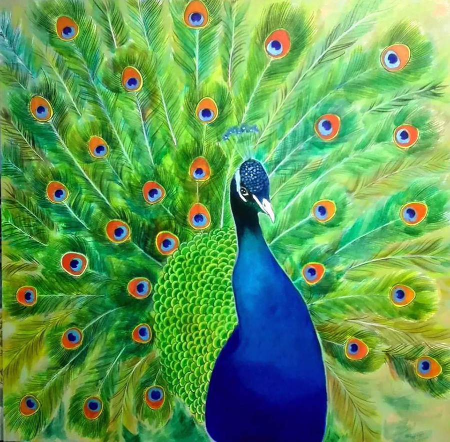 Colorful Peacock Art