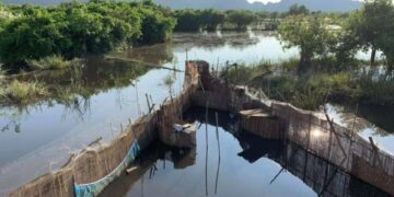 Water in creeks near Hpa-an has turned murky. / ALARM Myanmar