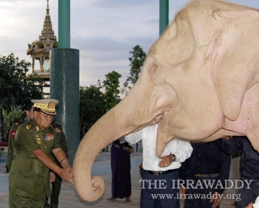 Rare white elephant born in Myanmar: state media