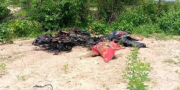 Bodies discovered on July 30 near Taung Pauk village. / CJ