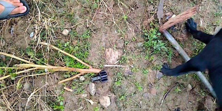 Myanmar's military launched artillery attacks on a village in Waingmaw, Kachin State, on August 3. / CJ