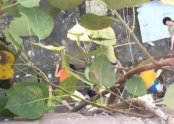 The dead and injured bodies of five young people are seen on the ground after the five jumped from the roof of an apartment building in Yangon on Tuesday. / CJ