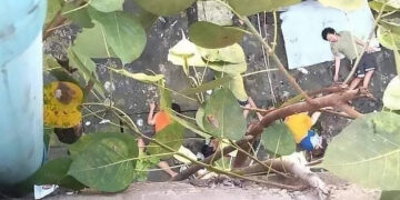 The dead and injured bodies of five young people are seen on the ground after the five jumped from the roof of an apartment building in Yangon on Tuesday. / CJ