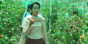 Daw Aung San Suu Kyi visits an organic farm. / Daw Khin Kyi Foundation