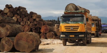 Teak logs at a timber yard in Myanmar in 2015. / EIA