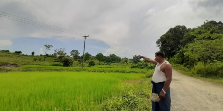 A farm in Thaing Chaung Village in the Kyaukphyu SEZ. / The Irrawaddy