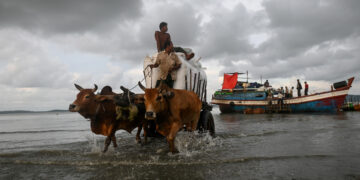People using a bull-drawn cart to transport goods from a boat at a jetty in Kyaukphyu, Rakhine State in 2019. / AFP