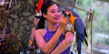 A girl plays and communicates with Lizzo and Mammo’s star, the beautiful blue macaw named Amanda. / Aung Kyaw Htet / The Irrawaddy