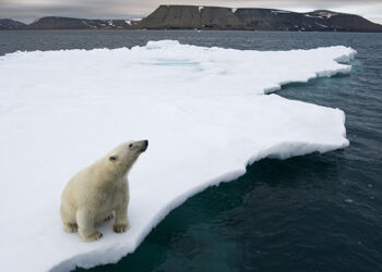 “Beyond the Air we Breathe: Addressing Climate Change” is an exhibition curated by Hossein Farmani and Susan Baraz from the Lucie Foundation, which aims to raise awareness about the consequences of climate change and pollution. It is at Maha Bandoola Park from Feb. 19 to 23. / Paul Souders