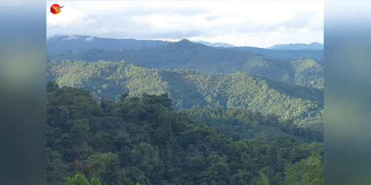 Forest areas in southern Shan State / The Irrawaddy