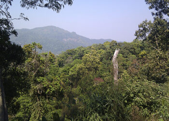 Karen in Thailand Fight to Keep Farms in Parks