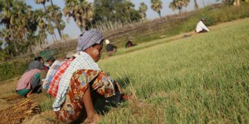 Farmers in Naypyitaw. / Htet Naing Zaw / The Irrawaddy