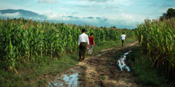 Farmers walk in their farm outside Yebu village in Shwenyaung Township, Shan State, Myanmar in this still image taken from an Aug. 25, 2016 video. / Reuters