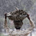 A labourer carries a container of mud while working on a roadside as it rains in on the outskirts of New Delhi August 7, 2012. The annual rains are crucial for farm output and economic growth as over half of India's arable land has no irrigation and relies on rain water. / Reuters