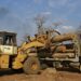 Teak logs are loaded in a logging camp in Pinlebu Township, Sagaing, northern Myanmar, in this picture taken on March 5, 2014. / Reuters