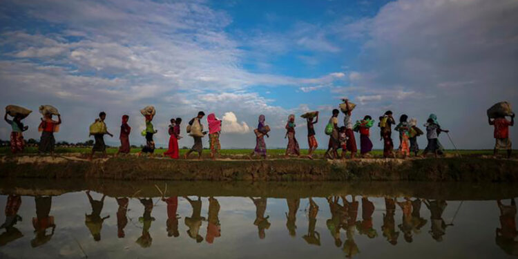 Rohingya refugees are reflected in rain water along an embankment next to paddy fields after fleeing from Myanmar into Palang Khali, near Cox's Bazar, Bangladesh Nov. 2, 2017. / REUTERS