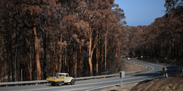 A truck drives past charred trees burnt during the recent bushfires near Batemans Bay, Australia, on Jan. 22, 2020. / Reuters