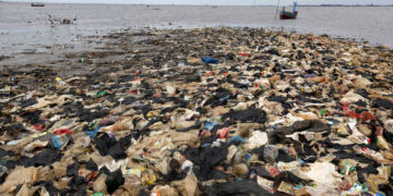 A small island formed by the accumulation of trash is seen in the water near Tanjung Burung, on the coast of Indonesia's Banten province, in June 2013. / Reuters