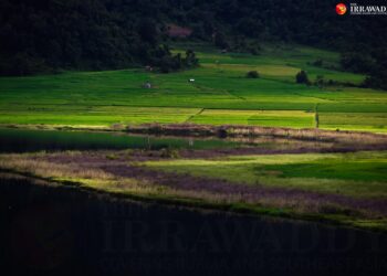 Reed Lake and surrounding paddy fields seen from an observation tower in Rihkhawdar.