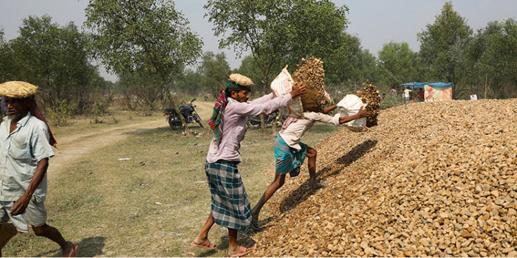 Construction workers stack stones on the island of Bhasan Char in the Bay of Bengal, Bangladesh, on Feb. 14. / Reuters