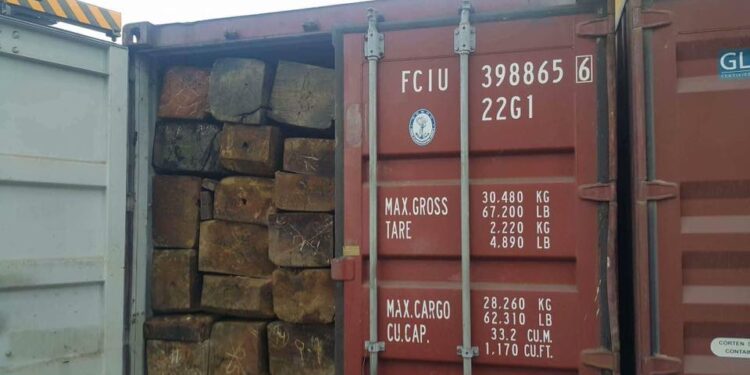 The seized smuggled timber is being kept in Insein Township. / Forestry Department / Facebook