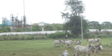 Amnesty International Calls for Relocation of Toxic Factory