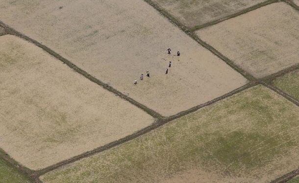 Govt Urged to Prepare Rice Reserves Ahead of El Niño