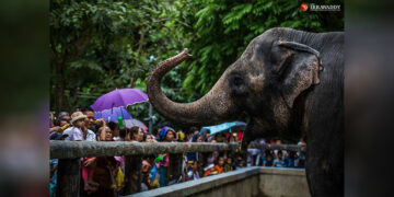 Visitors at Yangon Zoo / The Irrawaddy