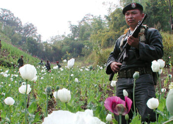 A Thai soldier stands guard at a poppy field in Thailand's northern Chiang Rai Province in January 24, 2002.