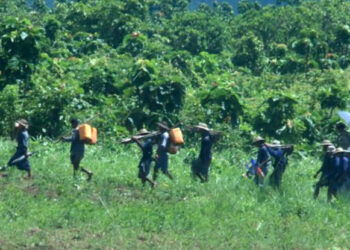 Inmates walk across a plantation area near the Yarzagyo prison labor camp in Kalay Township, Sagging Region. / Swe Win / Myanmar Now