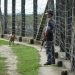 China Says Myanmar’s Shelling Across Bangladesh Border ‘Unfortunate’