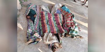 Myanmar Regime Airstrike Kills 4 Civilians in Saw Township