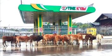 Fuel Shortages Hit Parts of Myanmar Due to Road Closures