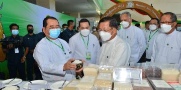 Junta Watch: Regime Boss Makes Wild Economic Claims