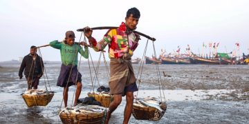 Rohingya Look on Arakan Army as Saviours in Fight With Myanmar’s Junta