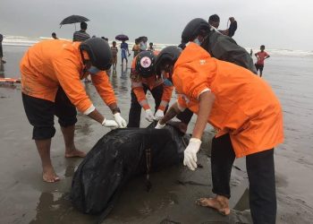 At Least 17 Dead After Rohingya Boat Breaks Up off Myanmar