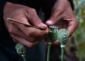 US Spy Memoir Perpetuates Myths About Myanmar Military’s ‘Anti-Drug’ Efforts