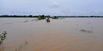 Flooded, Wind-Torn Rice Fields Signal Bleak Harvest in Myanmar