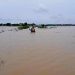 Flooded, Wind-Torn Rice Fields Signal Bleak Harvest in Myanmar