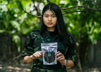 Rebels With a Cause: Myanmar’s Resistance Adds an Unlikely Revenue Stream