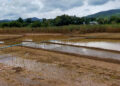 Rare-Earth Mines Blamed as Muddy Floods Devastate Shan State Farms